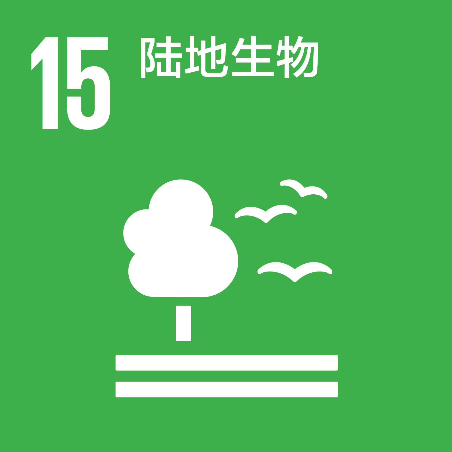 陆地生物