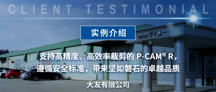 引进实例 大友有限公司