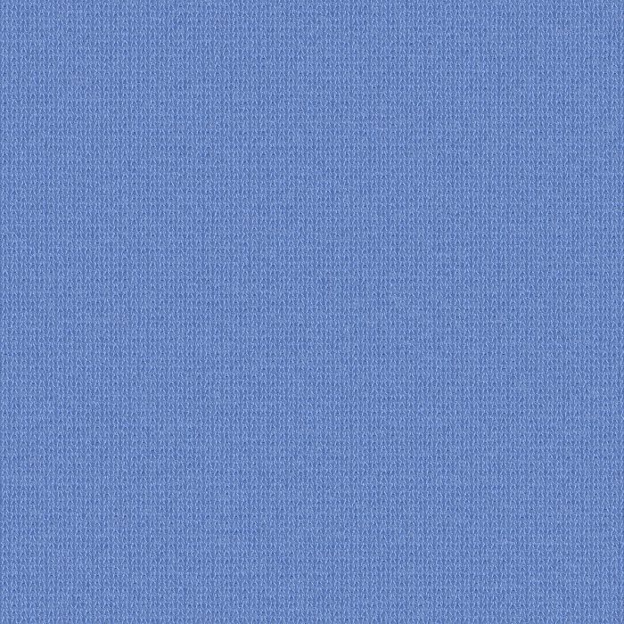 生地見本