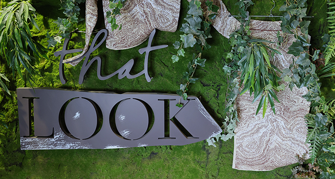 引进实例 That Look